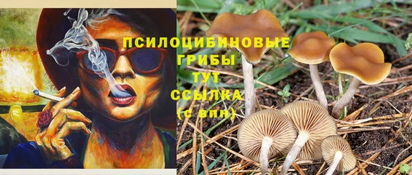 СК Арсеньев