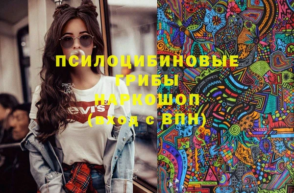 СК Арсеньев